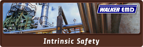 Intrinsic Safety