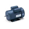 113913-00 - Leeson