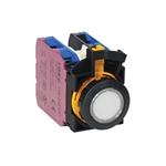 CW1L-A1E22Q4PW - IDEC