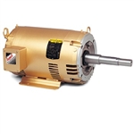 Baldor - EJMM2531T