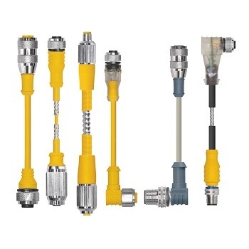 CABLE 19 POLE, NEW* #246258 TURCK CSFD 19-19-1 STRAIGHT 1 METER MALE 